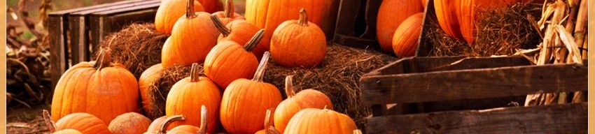 pumpkin2